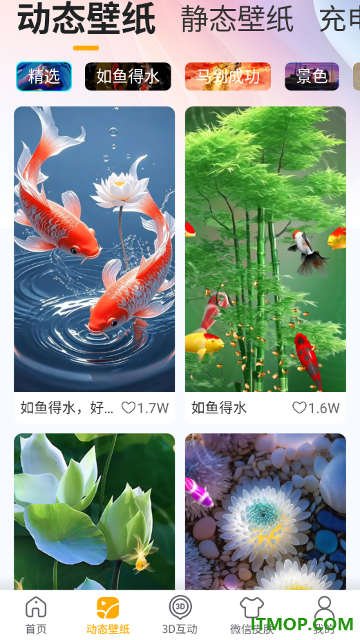 锦鲤金鱼壁纸官方版