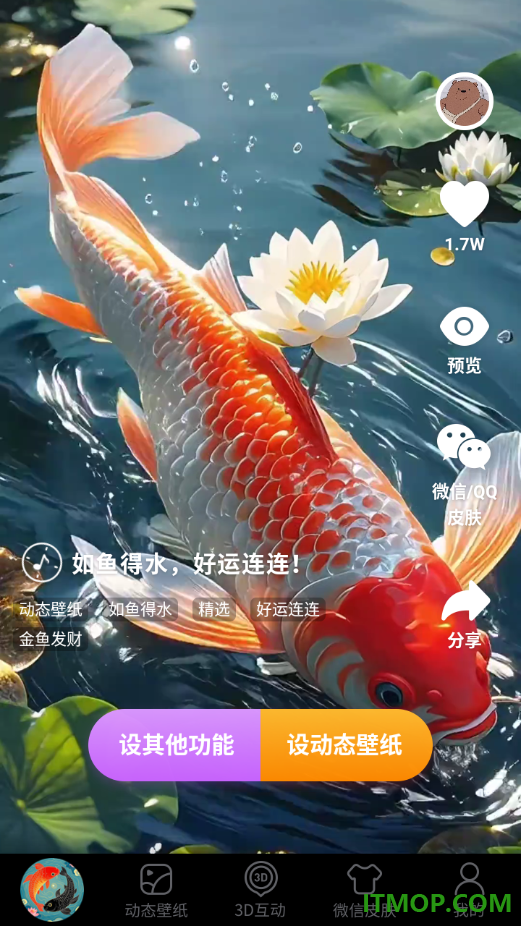 锦鲤金鱼壁纸官方版