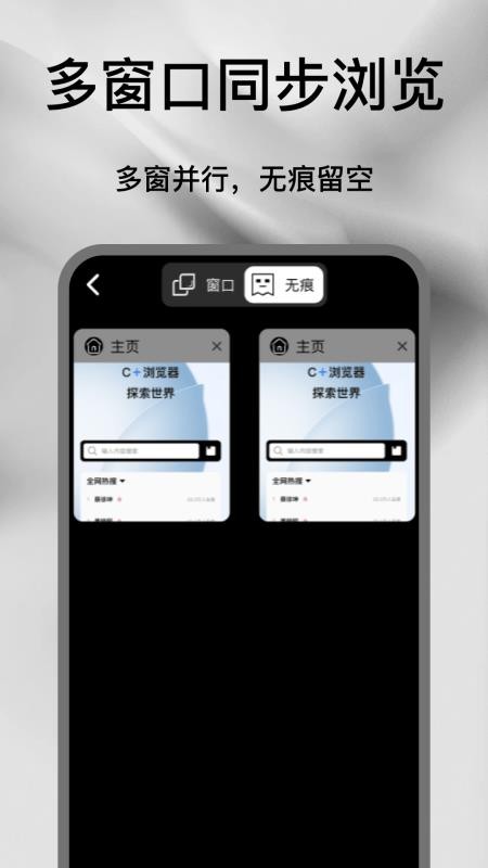 C+浏览器官方版v1.0(1)
