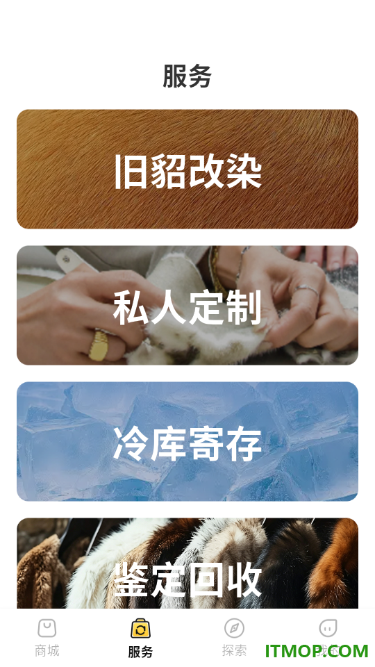 来猫最新版