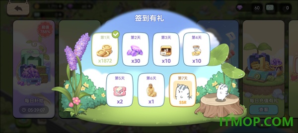 梦幻之城国际服