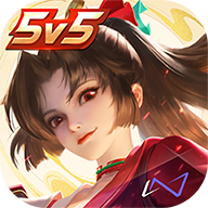 王者荣耀海外版 v11.3.1.13