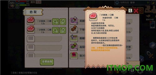 伊洛纳国际服