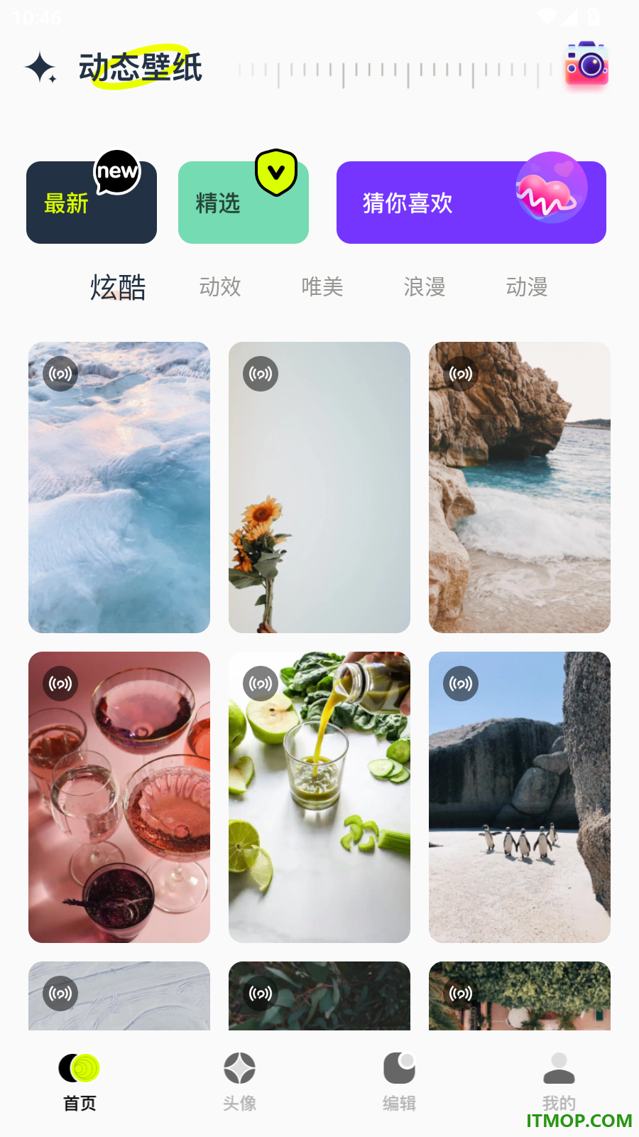 手机动态壁纸大全免费版