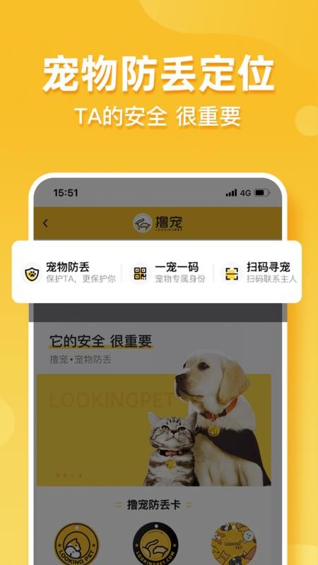 天天撸宠v1.6.240319 5