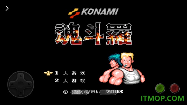小鸡模拟器极速版