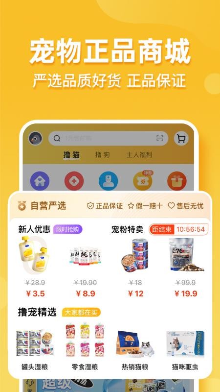 天天撸宠v1.6.240319 1