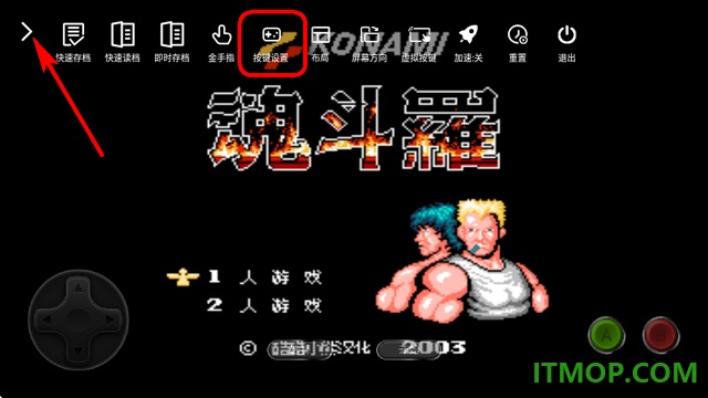 小鸡模拟器极速版