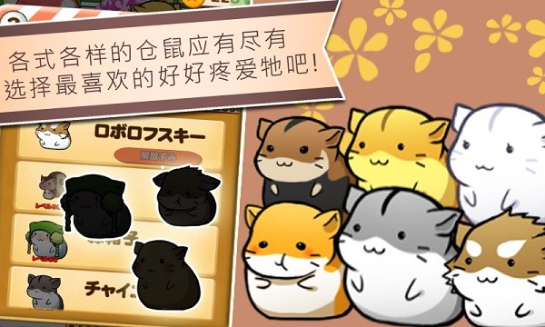 仓鼠的日常国际服v4.8.4(4)