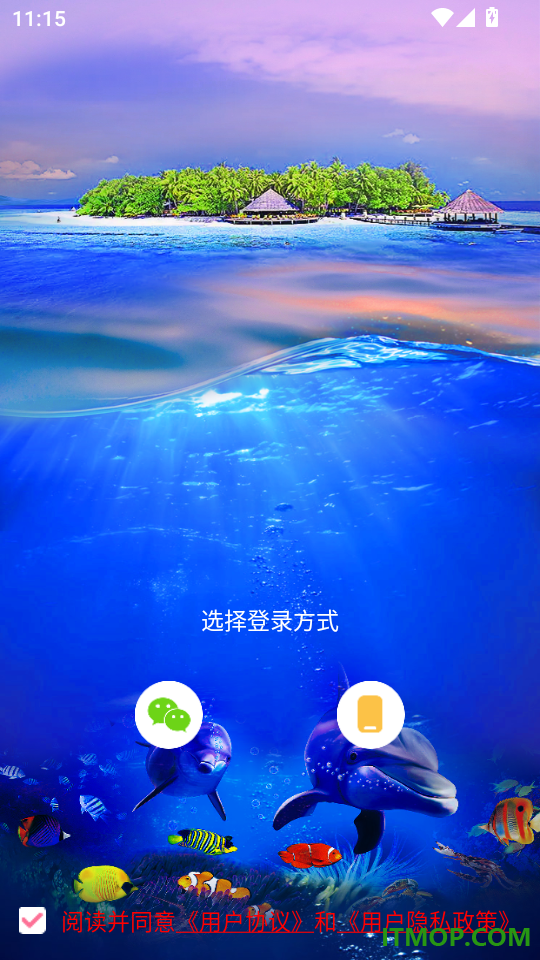 浪花直播官网版