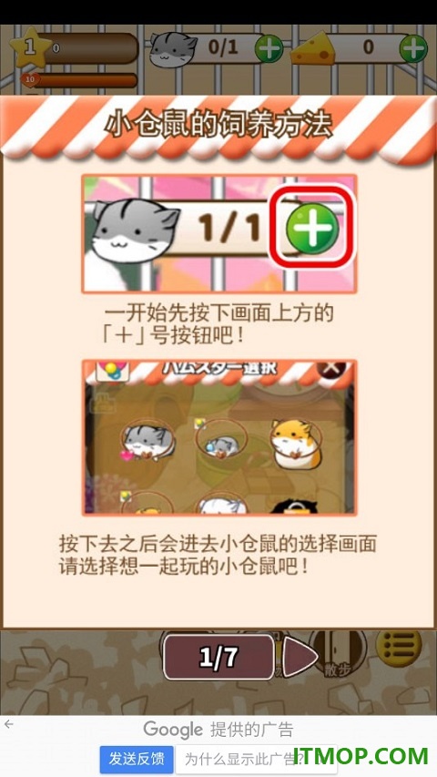 仓鼠的日常国际服