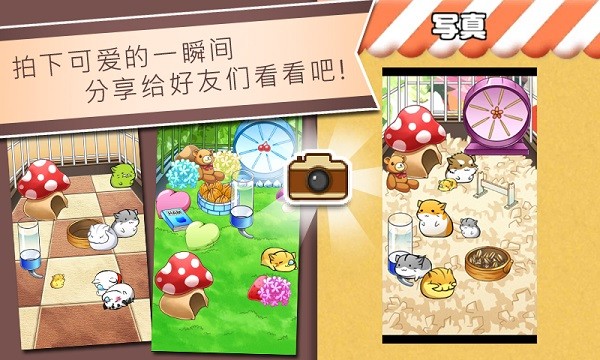 仓鼠的日常国际服v4.8.4(1)