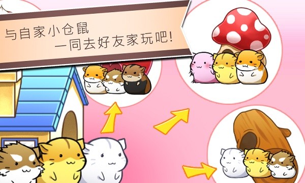 仓鼠的日常国际服v4.8.4(2)