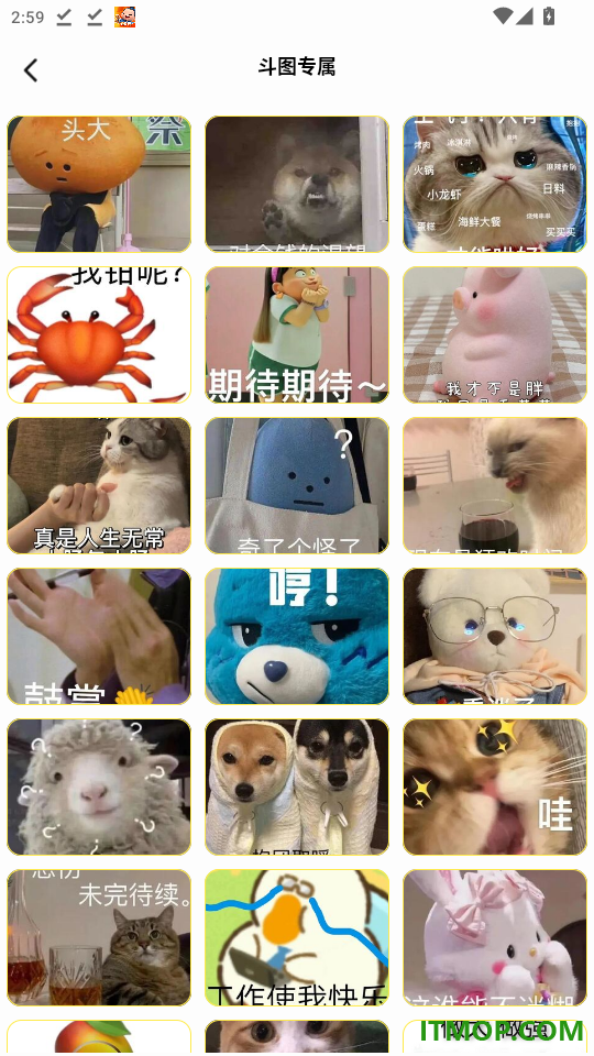 爆笑P图表情包DIY手机版
