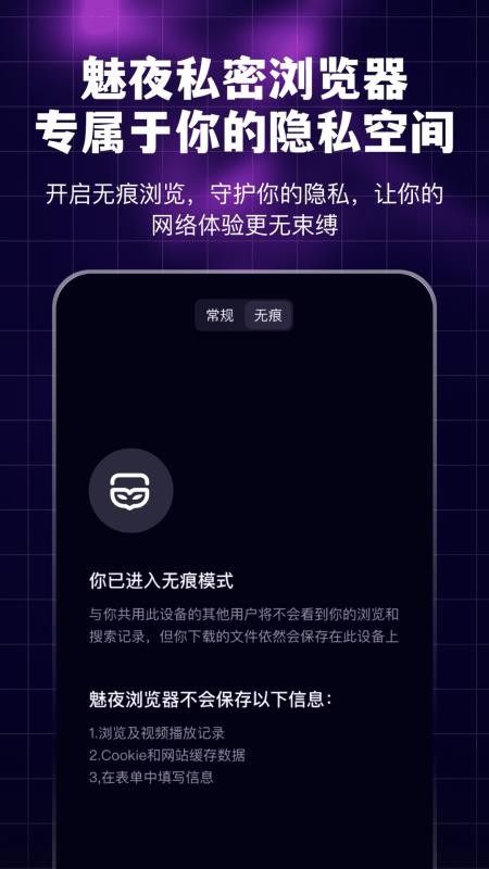 魅夜私密浏览器官网版v3.2.2 5