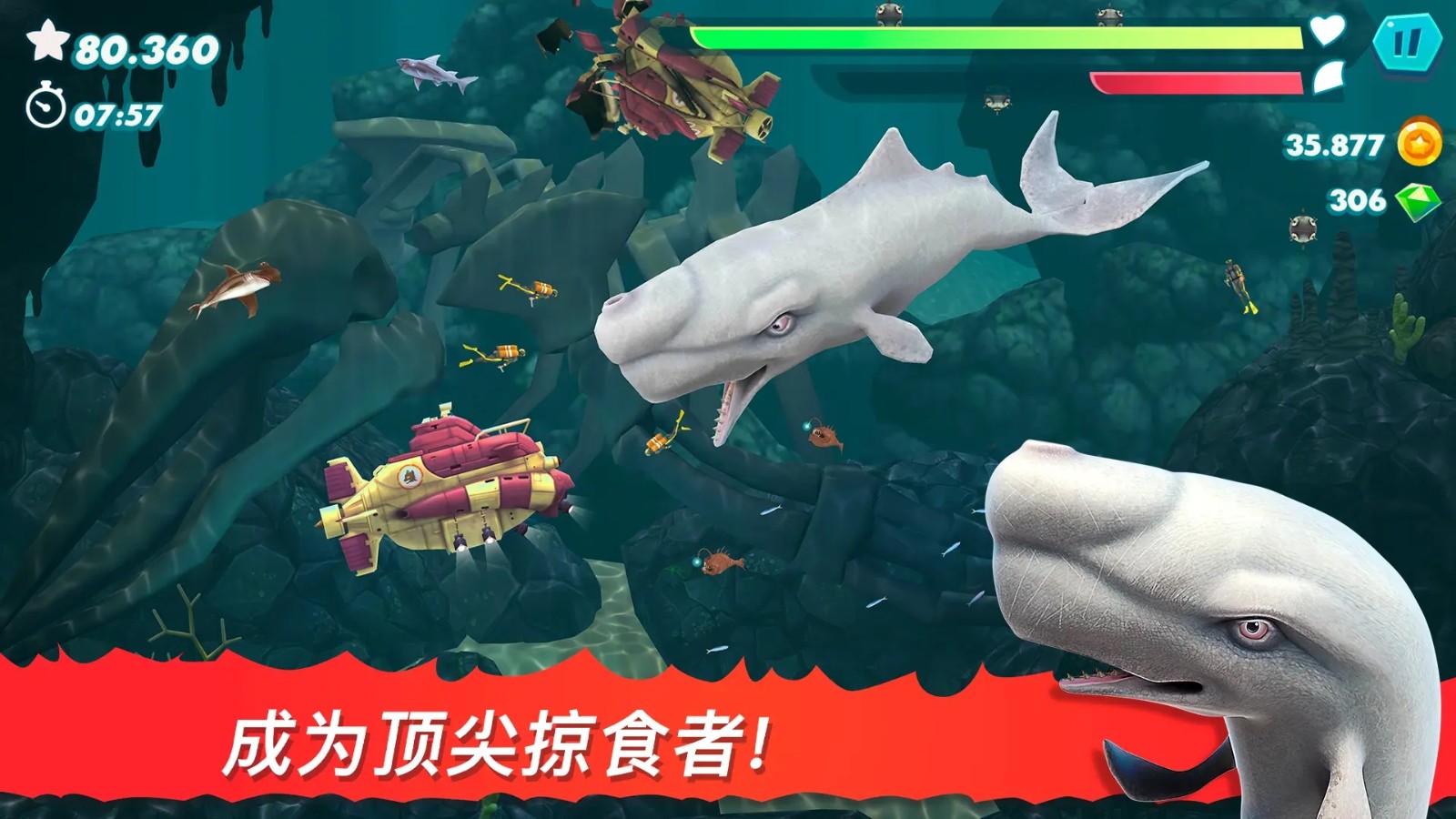 饥饿鲨进化国际服v14.1.0 2