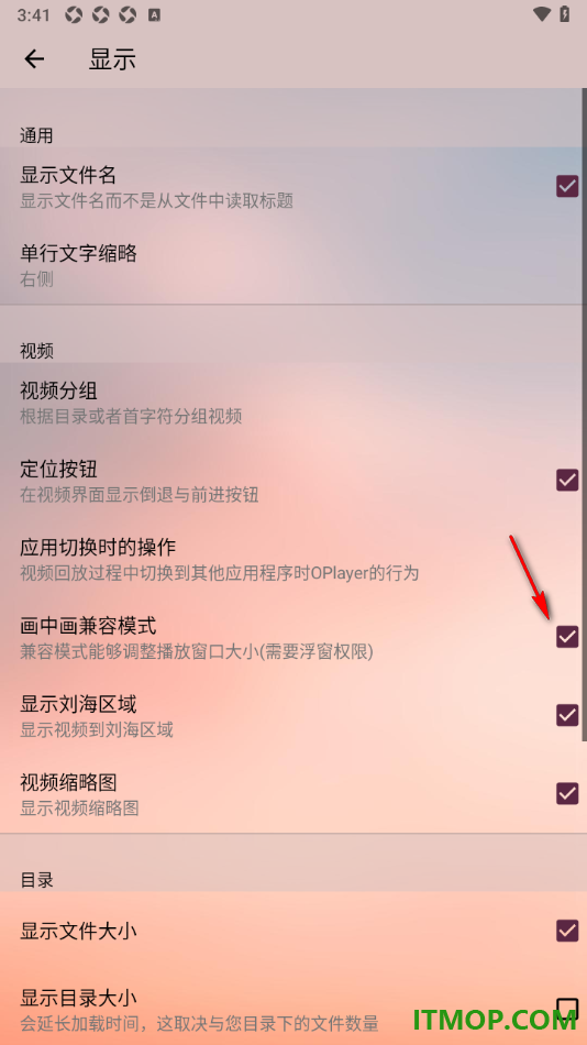 播放器OPlayer手机版设置启用画中画兼容模式的方法