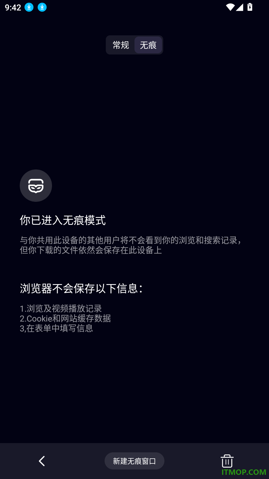 魅夜私密浏览器官网版