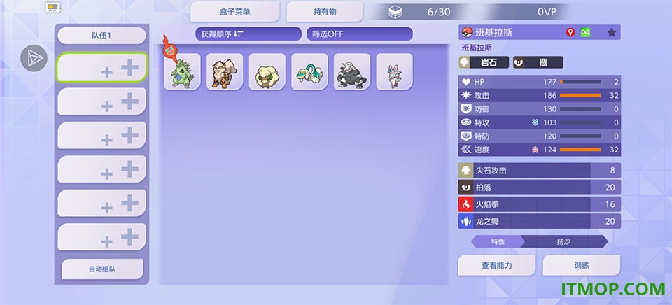 宝可梦冠军国际服