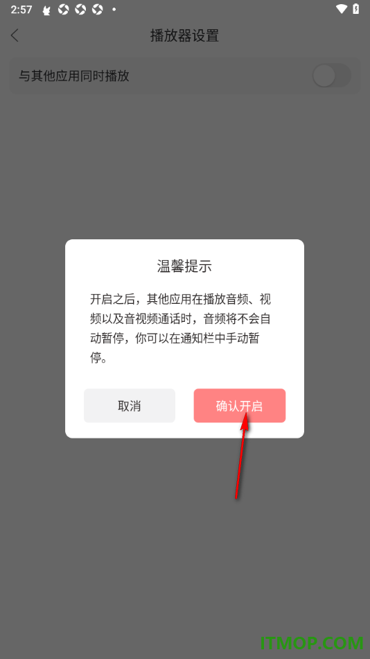 漫播手机版设置启用与其他应用同时播放功能的方法