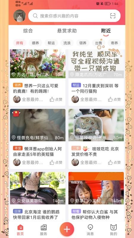 懒洋葱app(4)