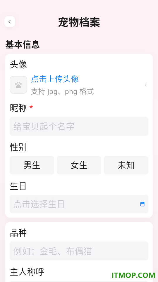 猫语+翻译器手机版