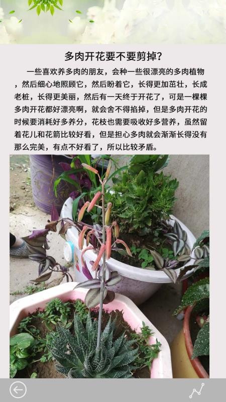 多肉花草日记软件v2.2(2)