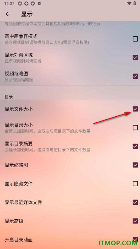 播放器OPlayer手机版设置显示文件大小的方法