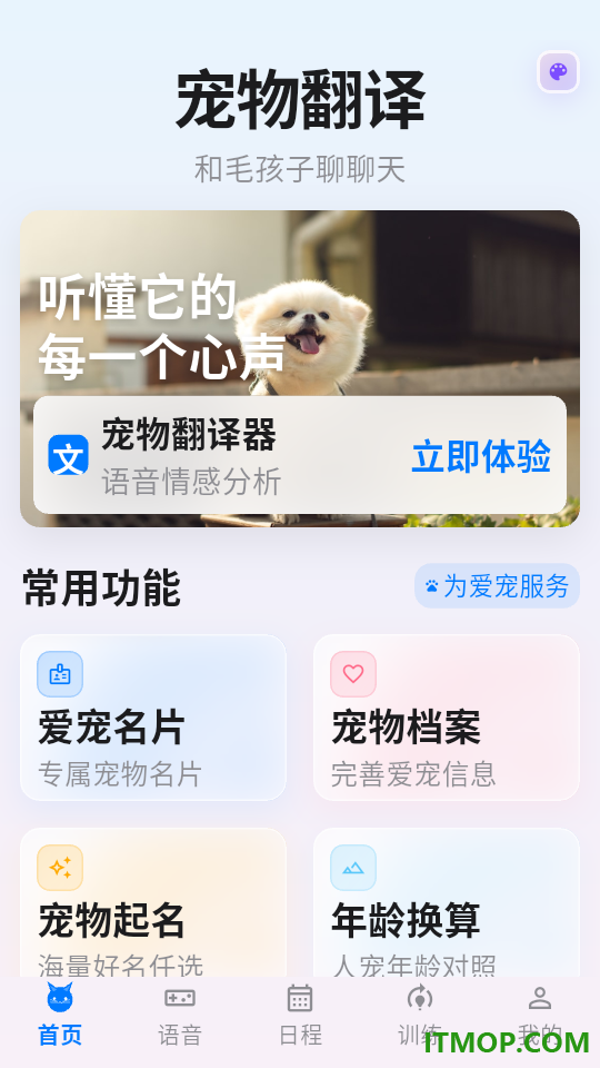 猫语+翻译器手机版