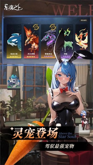 星魂之上果盘版v1.0(4)