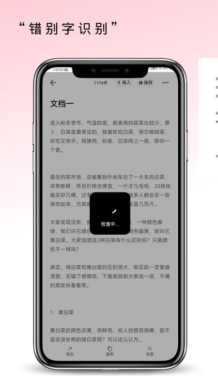 错别字识别软件appv2.0.94(1)