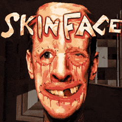 skinface手机版 v10.1