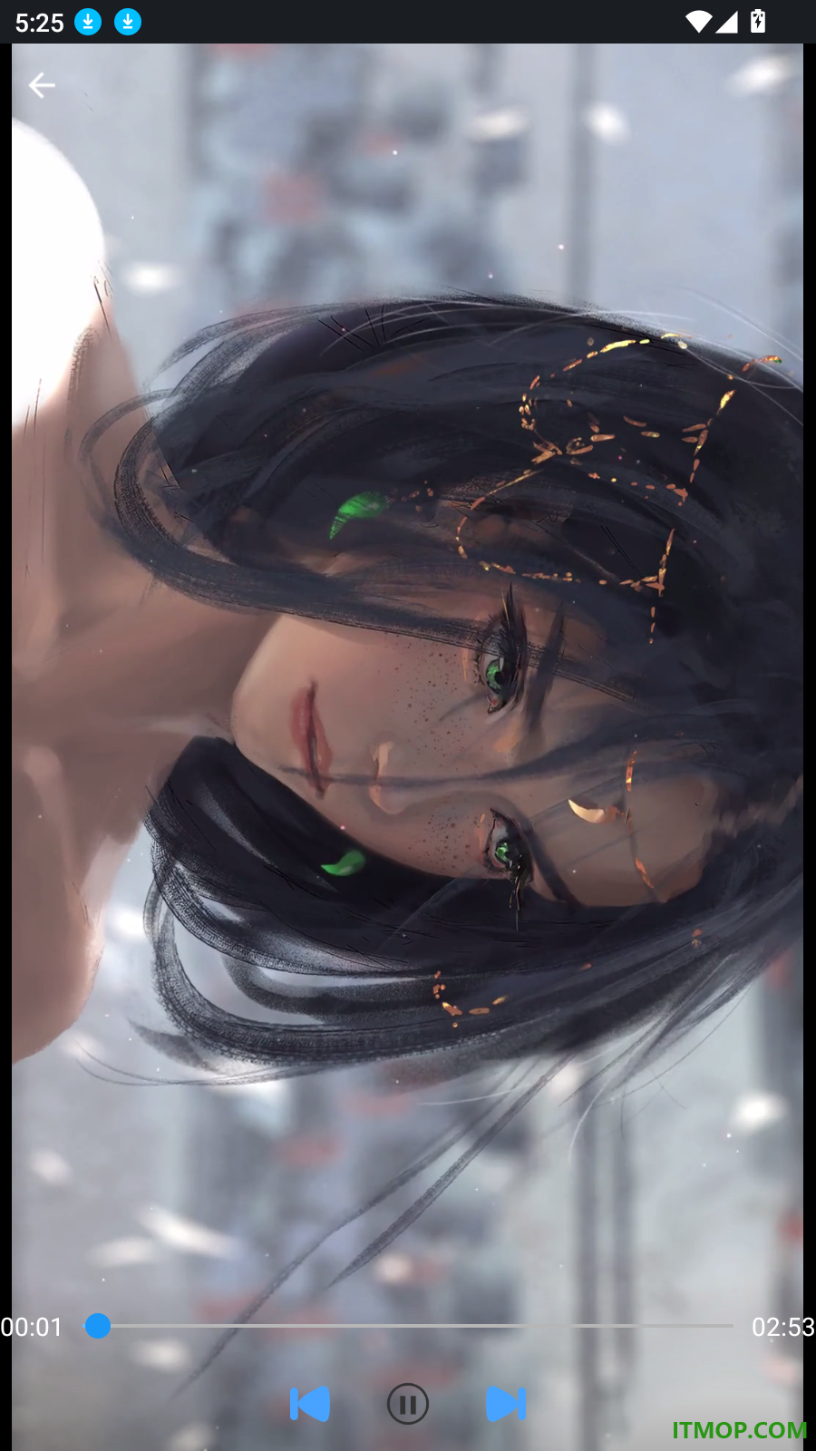 掌上手机电视直播播放器免费版