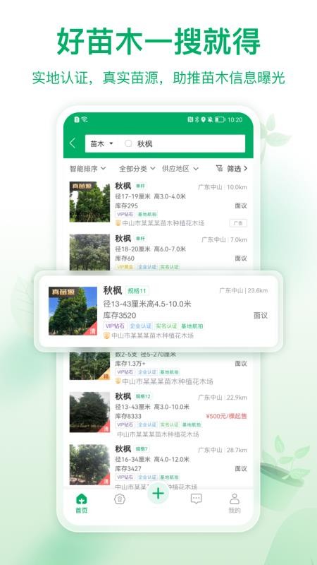 苗仓(苗木交易平台)(1)
