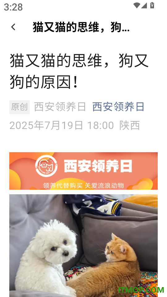 猫狗翻译工具官网版