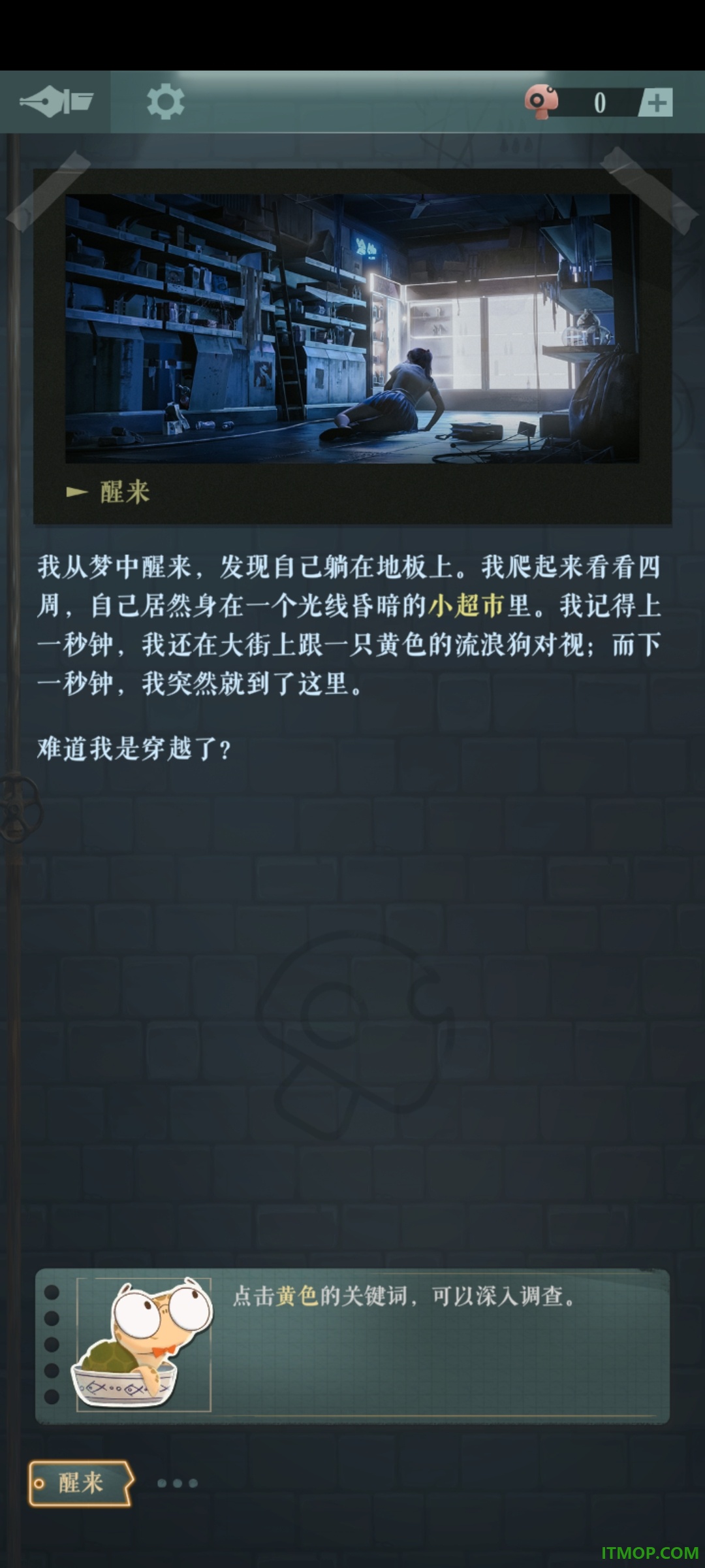 海龟蘑菇汤游戏最新版