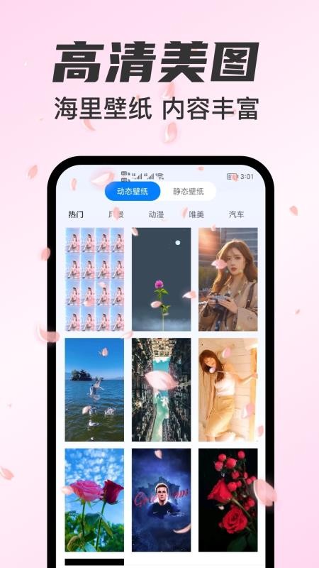 主题免费壁纸志慧手机版(4)