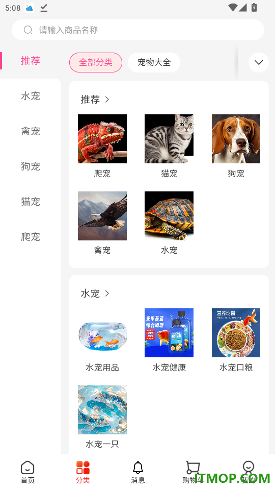 中兔官网版