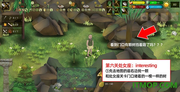 挨饿荒野国际服