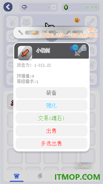泰尼世界国际服