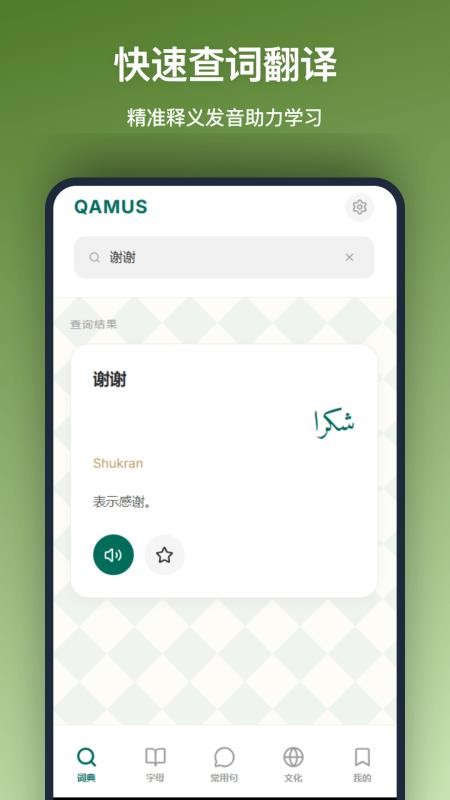 阿拉伯语词典安卓版v1.0.0(4)