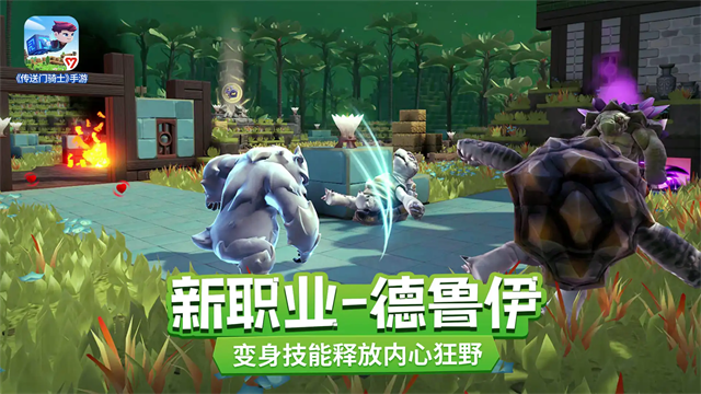 传送门骑士国际服v1.0 5