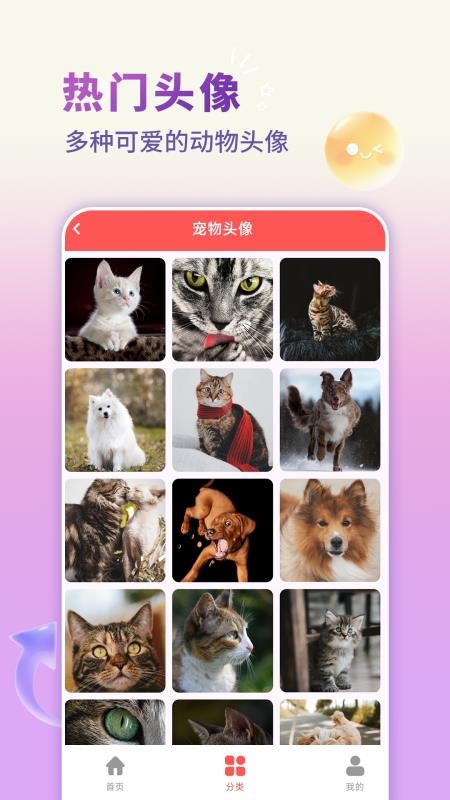 手机壁纸君最新版v1.0.0(1)
