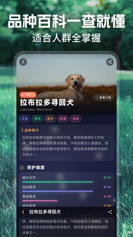 动物翻译官免费版v3.0.31(1)