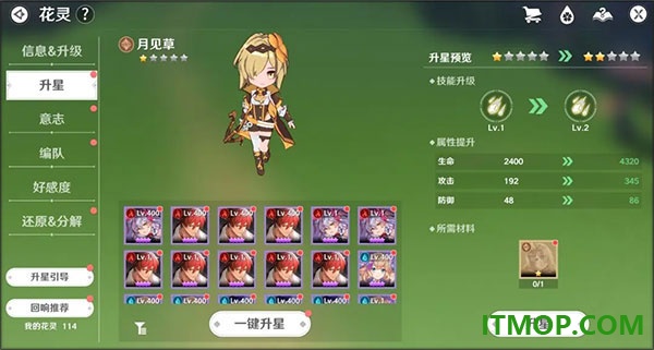 圣境之塔国际服