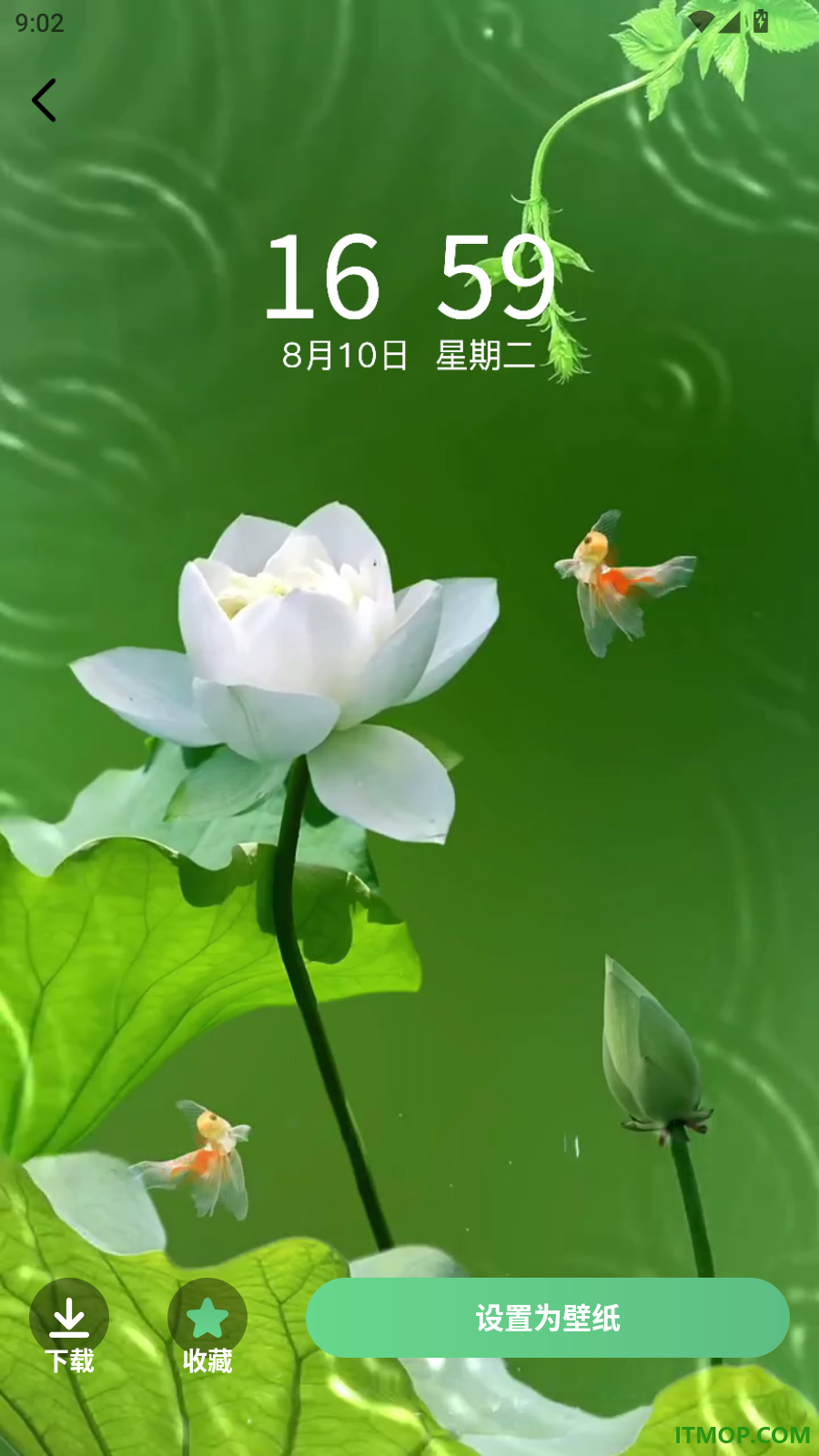百变壁纸秀免费版