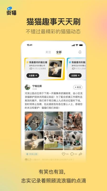 街猫手机版v4.3.5 1