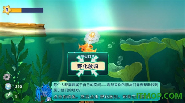 池趣养鱼游戏