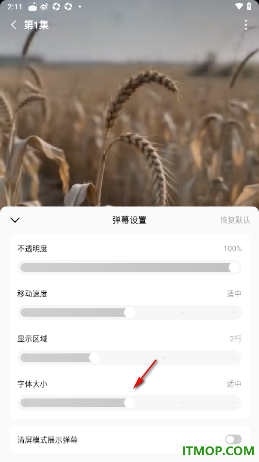 番茄免费小说手机版设置将弹幕字体调小一些的方法