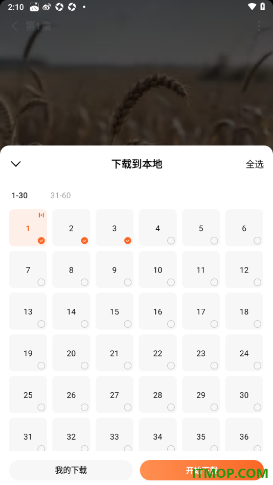 番茄免费小说手机版批量且免费下载短剧到本地的方法
